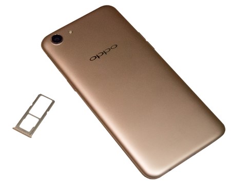 450x359  18 KB. Big one: 1252x1000  277 KB