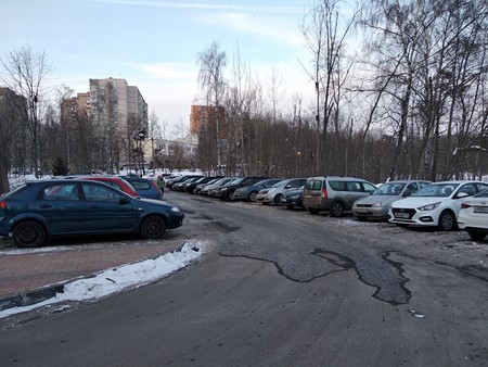 450x338  70 KB. Big one: 4000x3000  5825 KB