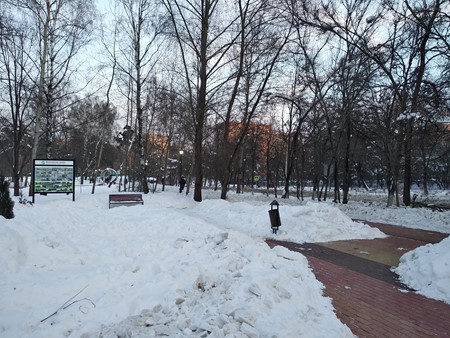 450x338  92 KB. Big one: 4000x3000  5802 KB