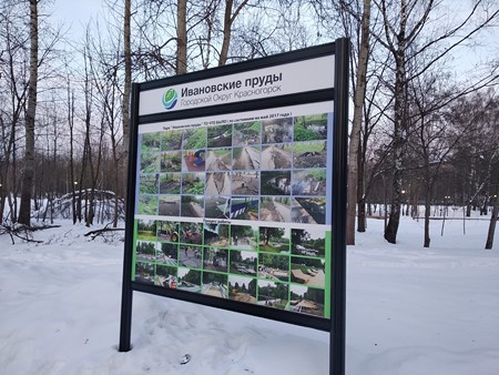 450x338  87 KB. Big one: 4000x3000  5740 KB