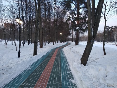 450x338  89 KB. Big one: 4000x3000  4836 KB