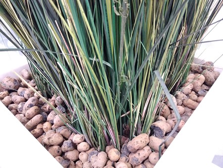 450x338  93 KB. Big one: 4000x3000  3967 KB