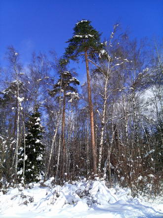 330x440  52 KB. Big one: 3456x4608  9579 KB