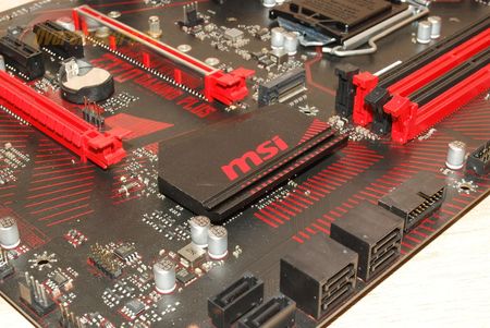 450x301  40 KB. Big one: 1500x1004  290 KB