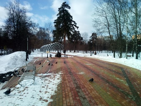 450x338  81 KB. Big one: 3264x2448  3788 KB