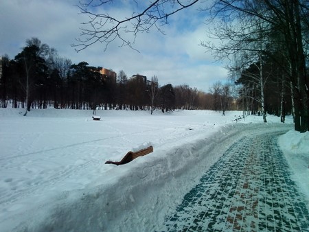 450x338  63 KB. Big one: 3264x2448  3284 KB