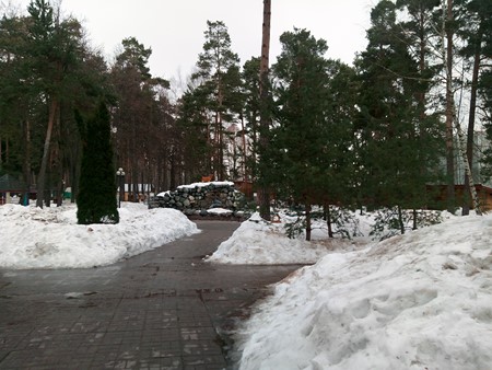 450x338  71 KB. Big one: 5184x3888  6082 KB