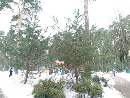 450x338  77 KB. Big one: 5184x3888  6096 KB