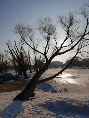 338x450  49 KB. Big one: 3024x4032  5702 KB