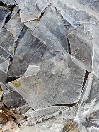 338x450  51 KB. Big one: 3024x4032  6264 KB