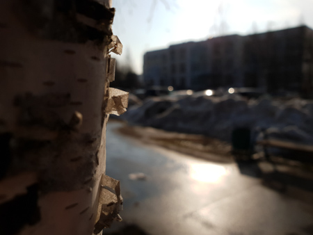 450x338  49 KB. Big one: 4032x3024  2494 KB