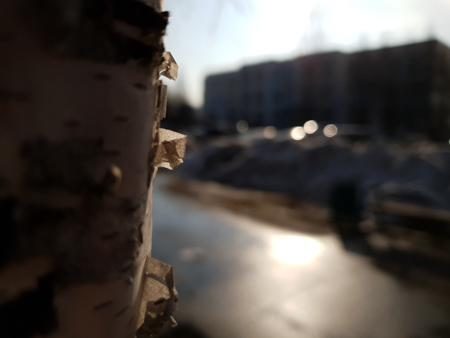 450x338  45 KB. Big one: 4032x3024  2518 KB