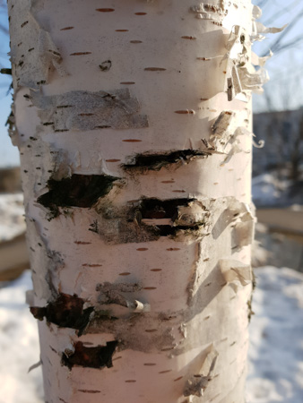 338x450  59 KB. Big one: 3024x4032  3301 KB