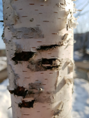 338x450  53 KB. Big one: 3024x4032  2977 KB