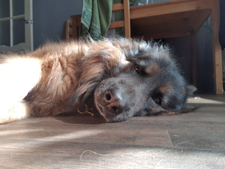 450x338  47 KB. Big one: 3264x2448  2568 KB