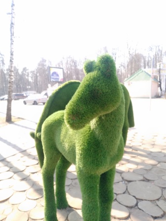 336x448  56 KB. Big one: 4224x5632  4237 KB