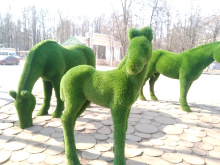 448x336  71 KB. Big one: 5632x4224  5126 KB