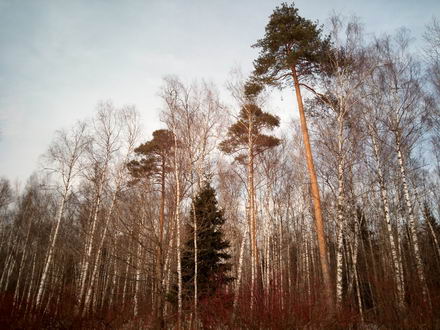 440x330  53 KB. Big one: 4608x3456  7201 KB