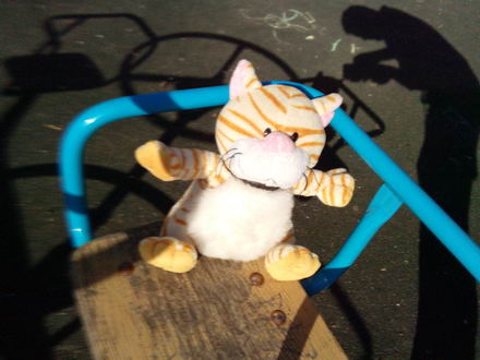 440x330  39 KB. Big one: 4160x3120  3544 KB