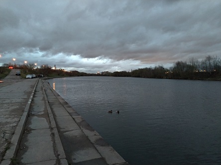 444x333  54 KB. Big one: 4032x3024  4651 KB