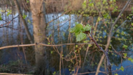 444x250  228 KB. Big one: 5504x3096  6673 KB