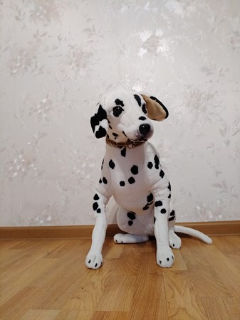 337x450  33 KB. Big one: 5184x3880  3720 KB