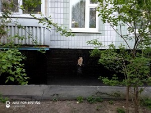 300x225  48 KB. Big one: 4032x3024  3637 KB