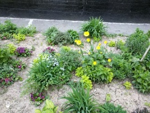 300x225  54 KB. Big one: 4032x3024  5226 KB