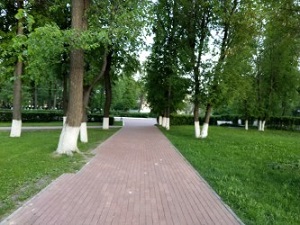 300x225  47 KB. Big one: 4032x3024  3460 KB