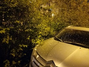 300x225  48 KB. Big one: 4032x3024  3428 KB