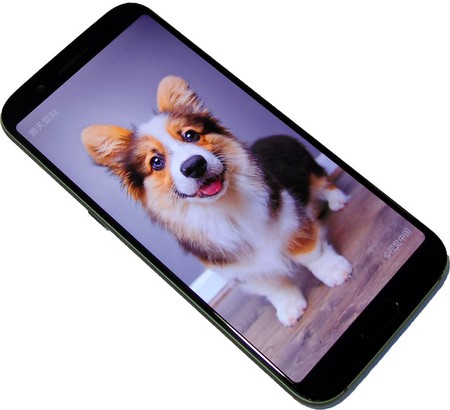 450x410  43 KB. Big one: 1500x1365  297 KB