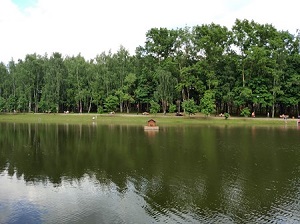 300x224  33 KB. Big one: 4032x3016  6841 KB