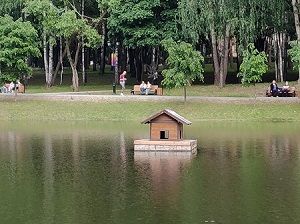 300x224  39 KB. Big one: 4032x3016  4356 KB