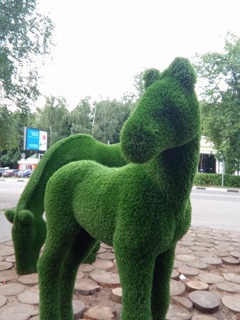 338x450  65 KB. Big one: 2448x3264  3152 KB