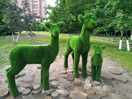 450x338  97 KB. Big one: 4000x3008  8266 KB