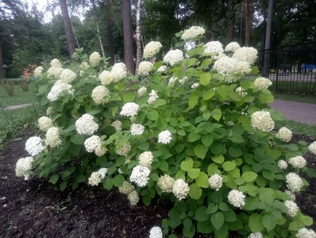 450x338  67 KB. Big one: 4096x3072  4956 KB