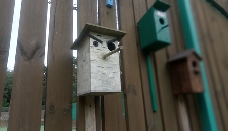 450x259  38 KB. Big one: 4224x2432  1395 KB