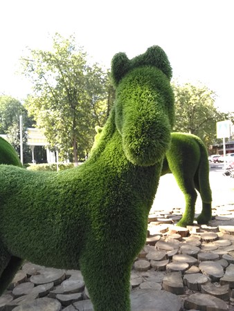 338x450  72 KB. Big one: 3456x4608  3380 KB