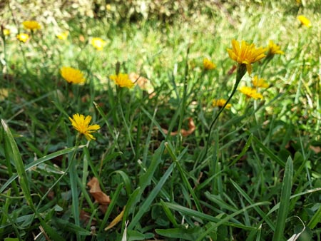 450x338  50 KB. Big one: 4032x3024  4412 KB