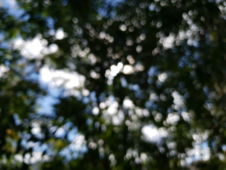 450x338  48 KB. Big one: 4032x3024  3211 KB