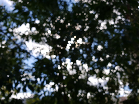 450x338  58 KB. Big one: 4032x3024  3286 KB