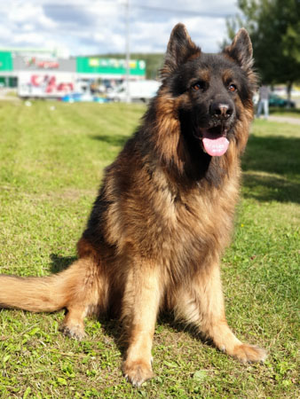 338x450  57 KB. Big one: 3024x4032  4624 KB