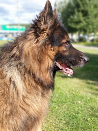 338x450  48 KB. Big one: 3024x4032  4462 KB