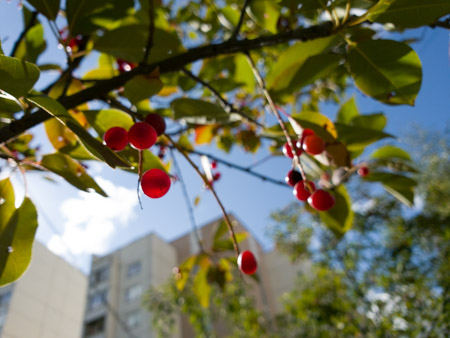 450x338  55 KB. Big one: 4032x3024  4691 KB