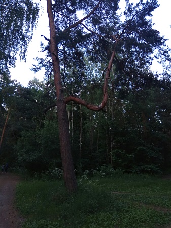 337x450  90 KB. Big one: 1620x2160  1451 KB