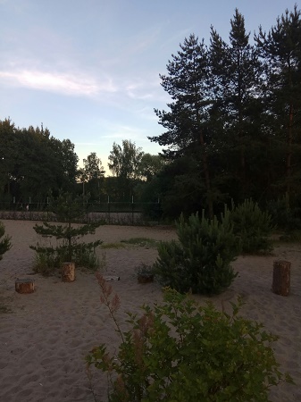 337x450  60 KB. Big one: 1620x2160  1009 KB