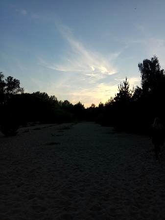 337x450  35 KB. Big one: 1620x2160  706 KB