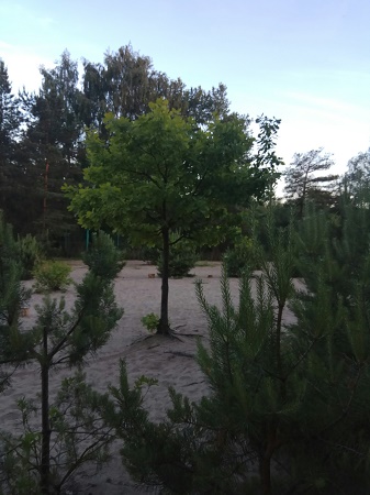 337x450  62 KB. Big one: 1620x2160  866 KB