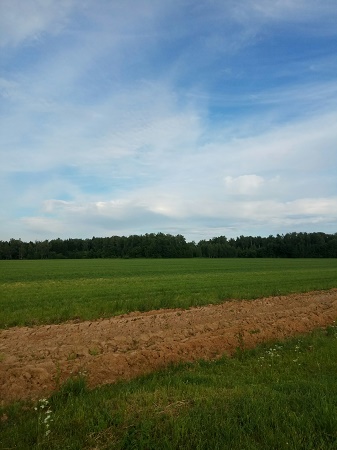 337x450  52 KB. Big one: 1620x2160  1005 KB