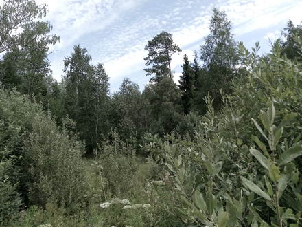 440x330  57 KB. Big one: 4160x3120  4860 KB